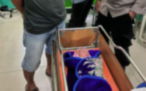 Ada Bayi Perempuan Lucu Di Depan Rumah Edi Susanto Anak Siapa Jpnn