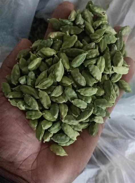 Variety Of Cardamom Bold Green Cardamom 1 Kg Cardamom Size 8 Mm At