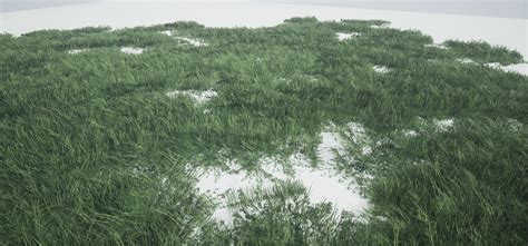 Grass Forest 3d Model Cgtrader