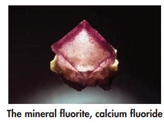 Solved The Mineral Fluorite Contains The Element SolutionInn