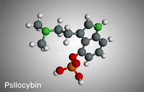 Psilocybin Alkaloid Molecule It Is Naturally Psychedelic Prodrug Stock