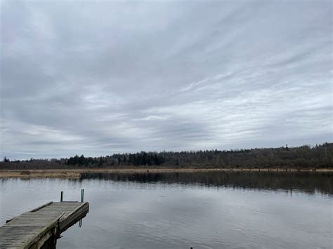 Burnaby Lake, March 26, 2022 – creolened.com