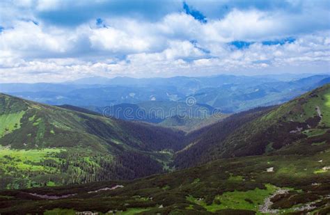 Landschaft Von Karpaten Berge Mit Tannenb Umen Grasartiges Vall