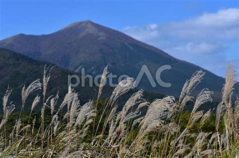 秋のススキと山と空 No 3910732｜写真素材なら「写真ac」無料（フリー）ダウンロードok