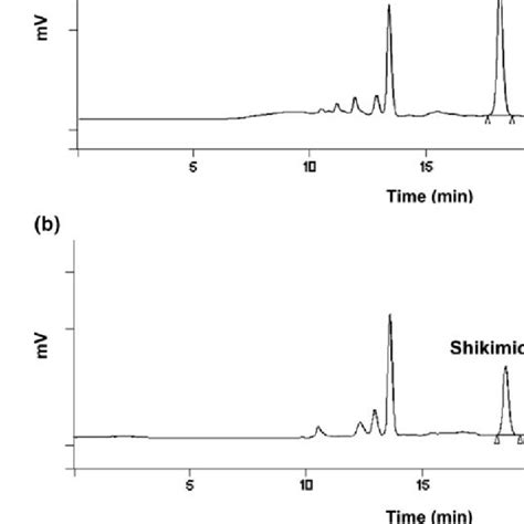 Chromatogram Of Organic Acids In A Cabernet Sauvignon A And Shiraz Download Scientific