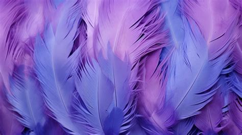 Abstract Soft Background Purple Feather Texture Pattern With Blue