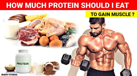 How Much Protein Do I Need To Build Muscle Buddyfitness Youtube