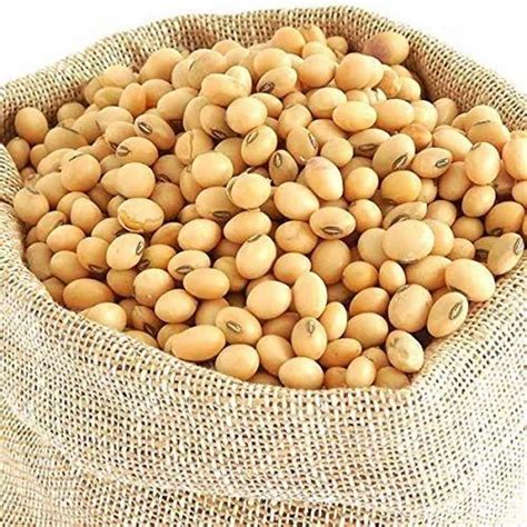 Organic Soybean Seeds For Edible Refined Oil Kg At Rs Kg In Sangli