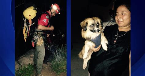 2 Hikers Dog Safely Rescued After Getting Lost In Angeles National