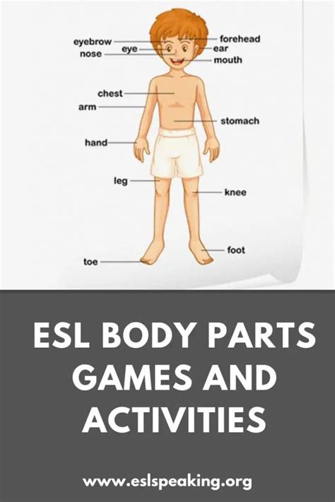 Esl Parts Of The Body