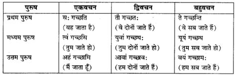 Rbse Class 10 Sanskrit व्याकरणम् अनुवाद कार्यम्