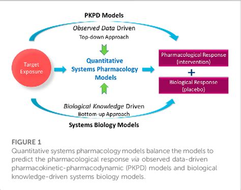 Figure 1 from Quantitative systems modeling approaches towards model ... 
