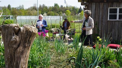 Landesgartenschau Wangen 2024 VGL Mitglieder bauen Schaugärten Gabot de