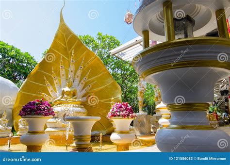 九朝向与金黄菩萨雕象的巨大纳卡人雕塑在wat Rai Khing寺庙，泰国 编辑类库存照片 图片 包括有 艺术 巨型 121586083