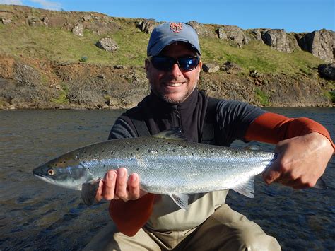 Salmon fishing in Iceland - River Nordura in 2017 - Anglers.is - Fishing in Iceland