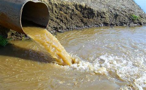 O Que Sonhar Com Agua Suja - Sonhar com Água Suja - Significado Através do Livro dos Sonhos | iQuilibrio