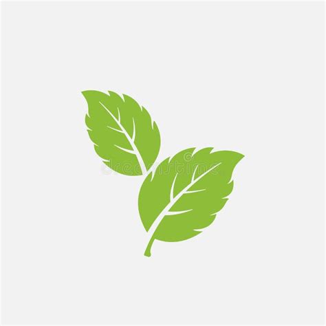 Set Of Green Leaves Element Vector Icon Green Leaf Vector Symbol