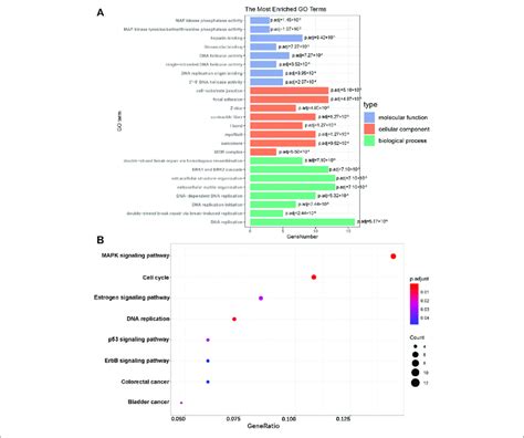 Go Enrichment And Kegg Pathway Analyses A Go Analysis Of The Degs