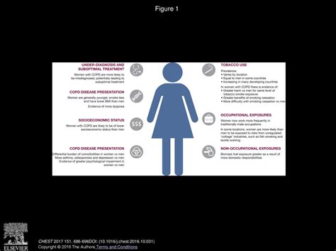 Improving The Management Of Copd In Women Ppt Download