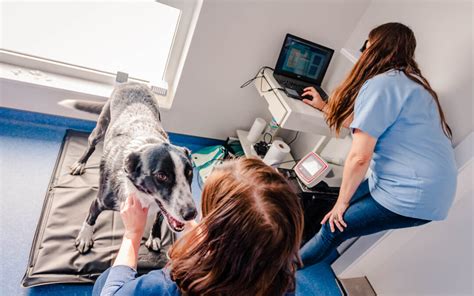 Physiothérapie animale Haut Rhin Docteur Karine Le Bleis