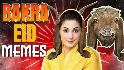 Eid Special Memes Bakra Eid Memes Bakra Eid Special Memes You