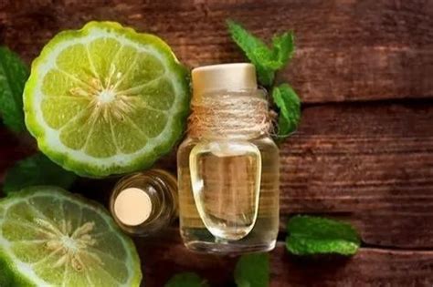 Citrus Bergamia Rutaceae Bergamot Oil For Aromatherapy At Rs 22500