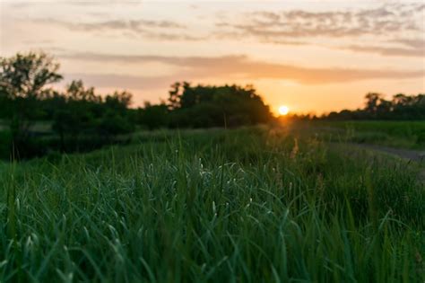 Premium Photo Sunset Sunrise Over Field Or Meadow Bright Dramatic