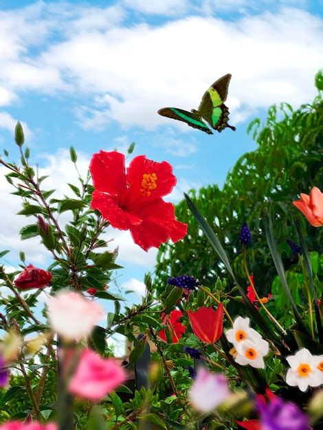 Paisaje De Primavera Con Flores Y Mariposas Foto Gratis