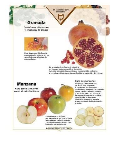 Enciclopedia De Los Alimentos Y Su Poder Curativo