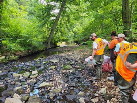 Water Quality Awareness Community Science And Conservation