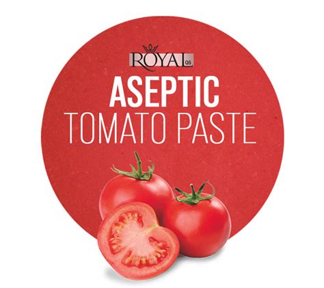 Aseptic Tomato Paste Fruit Juice Concentratefruit Puree Manufacturer In Iran Royal