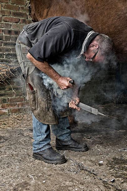 Royalty Free Farrier Pictures Images And Stock Photos Istock