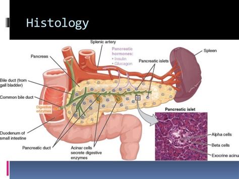 Pancreatitis