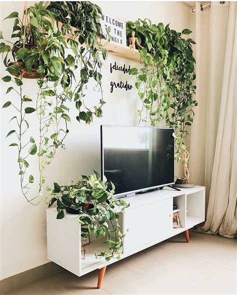 Plantas Para Sala De Estar Inspire Se Projetos Lindos