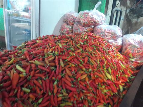 Harga Cabai Rawit Merah Makin Pedas Tembus Rp80 Ribukg Kementan