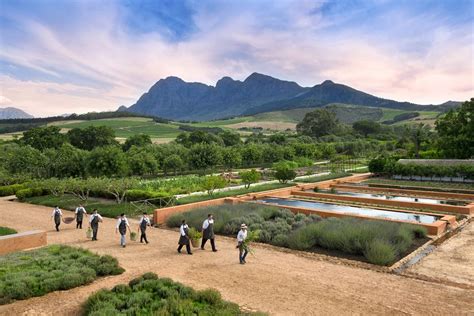 Babylonstoren Wine Estate Helicopter Tours Cape Town