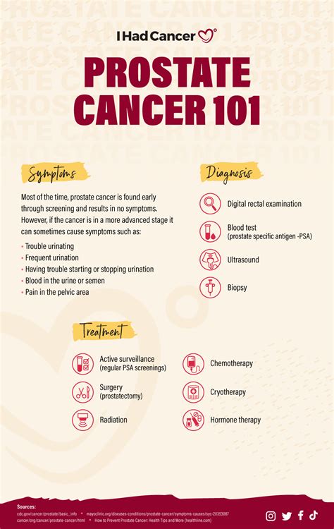 Prostate Cancer A Visual Guide Artofit