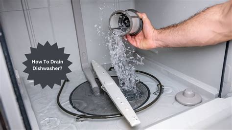 How To Drain A Dishwasher At Johnny Reyes Blog