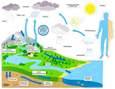 Jangar Obieg Wody W Przyrodzie Magnetyczny Na Tablic Ceny I Opinie
