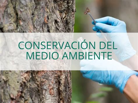 Conservación Del Medio Ambiente ≫ Carrera Del Conalep