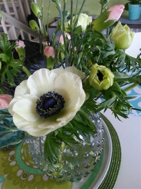 Anemoner Med Nejlikor Cabbage Vegetables Plants Food Essen