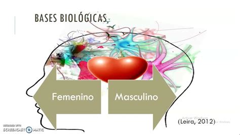 Psicobiología De La Sexualidad Youtube