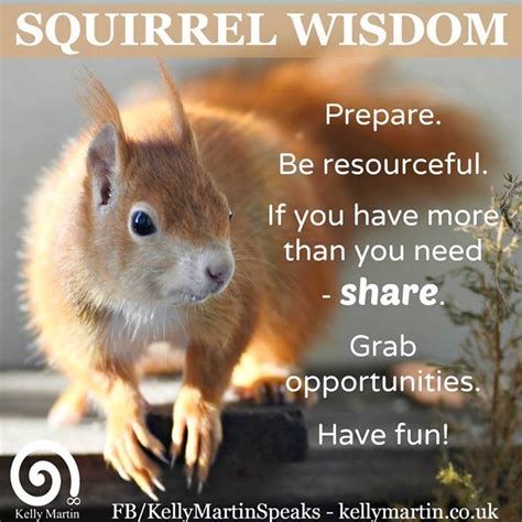 Inspirational Quote Squirrel Quotes - ShortQuotes.cc