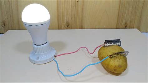 How To Generate Free Electricity With Potato At Home Simple Tips Youtube