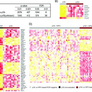 Summary Of Somatic Mutations Identified A Barplots Showing Numbers Of