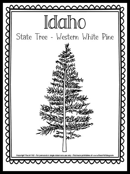 Idaho State Tree (The Western White Pine!) Coloring Page {FREE ...