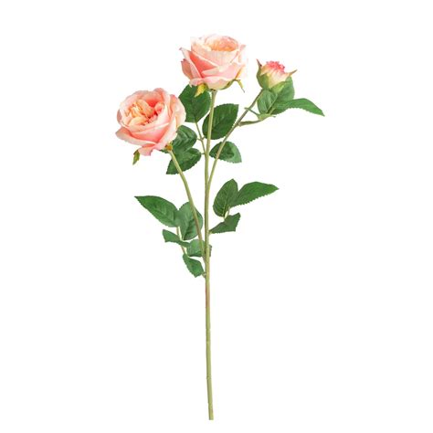 Crown Rose 3bloom Stem Peach