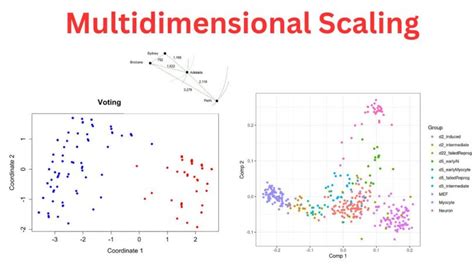 Multidimensional Scaling Types Formulas And Examples