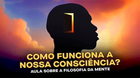 Entendendo A Filosofia Da Mente E A Consci Ncia Humana Aula