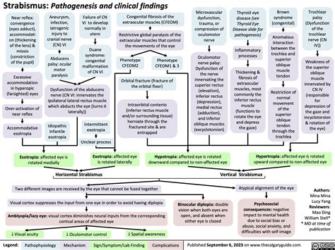 Strabismus: Pathogenesis and clinical findings | Calgary Guide